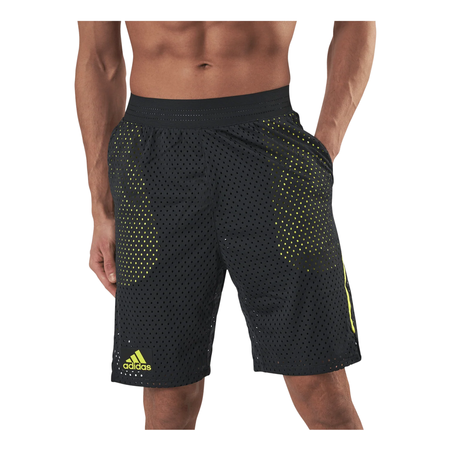 2in1 NXT Level Short Primeblue Black – Image 5