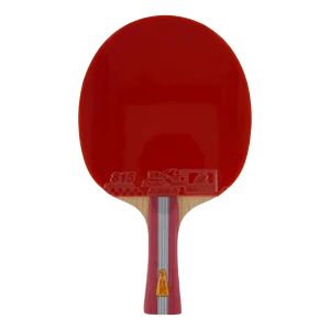 1a+ Table Tennis Racket