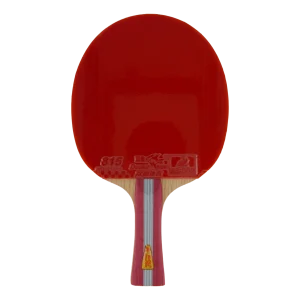 1a+ Table Tennis Racket